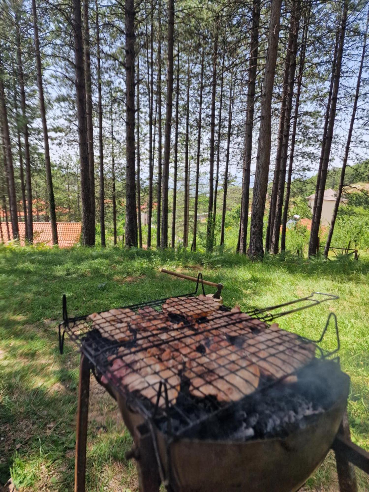 Bujtinat Skenderi Gjinar 2ヴィラ エクステリア 写真